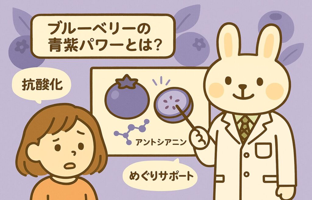 ブルーベリーの成分“アントシアニン”について、白衣姿のみどりんが図解ボードを使って解説しているイラスト。背景にはブルーベリーの断面や青紫のイメージが描かれ、“抗酸化”“めぐりサポート”などの吹き出しが添えられている。