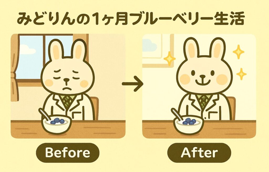 朝の食卓を背景にした、みどりんのBefore→After風イラスト。左側（Before）はブルーベリーを食べる前で、朝ぼんやりとした表情。右側（After）はブルーベリー生活1ヶ月後で、肌ツヤがよくスッキリとした笑顔。両方の場面にブルーベリー入りヨーグルトが描かれている。