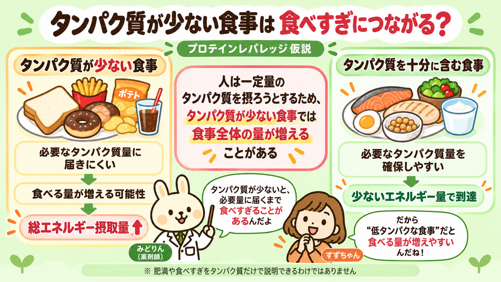 タンパク質が少ない食事では必要量に届くまで食べる量が増え、総エネルギー摂取量が増えやすい一方、タンパク質を十分に含む食事では少ないエネルギー量で必要量に達しやすいことを示した図